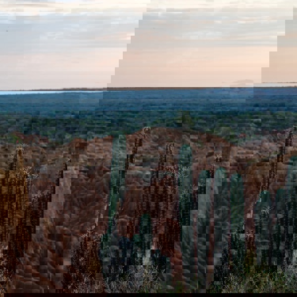 Colombias kulturvidundere