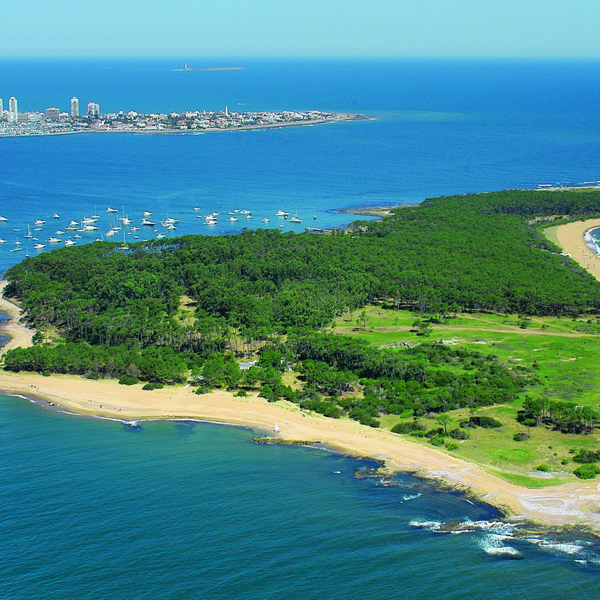 punta del este