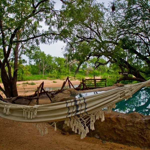 Pool og hængekøje i bushen