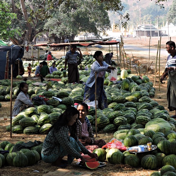 Den lokale vandmelon marked, Kalaw, Myanmar