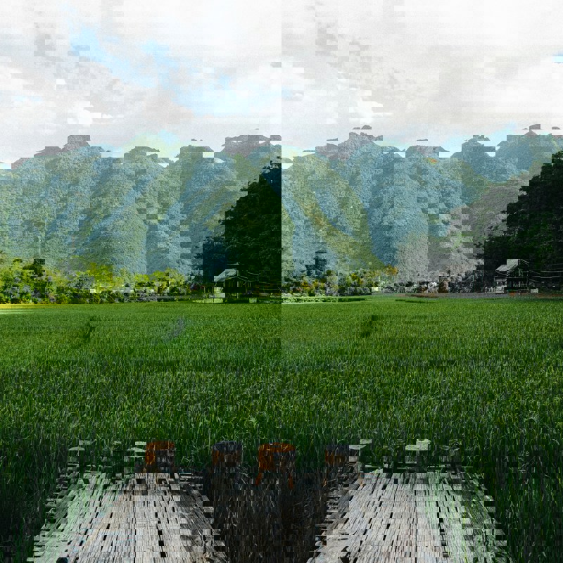 jean-baptiste-nore-NI-nrcVHXvE-unsplash