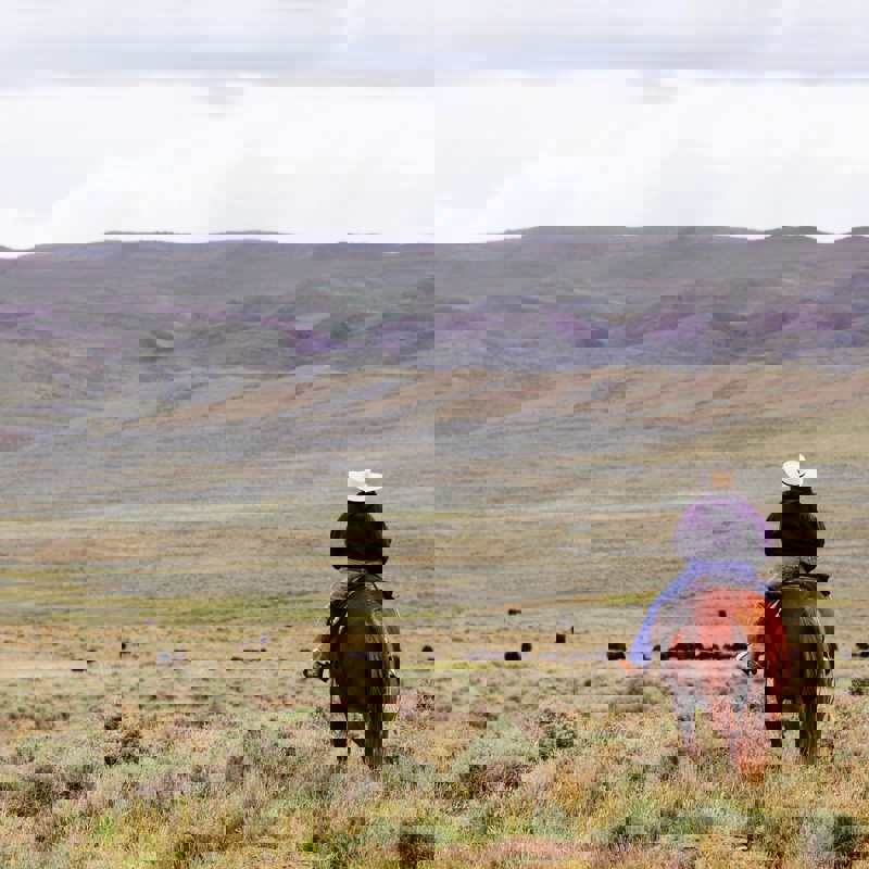 john-kakuk-OYm7afxef8o-unsplash