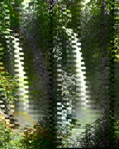 Honduras – hvor junglen møder Caribien