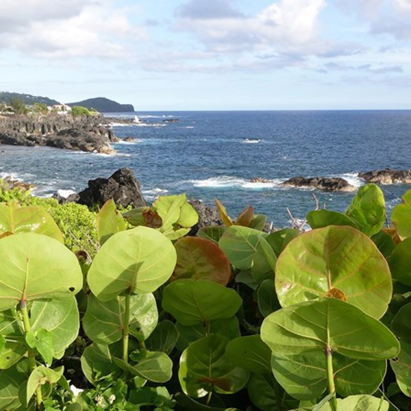 Frodigt landskab ud til havet