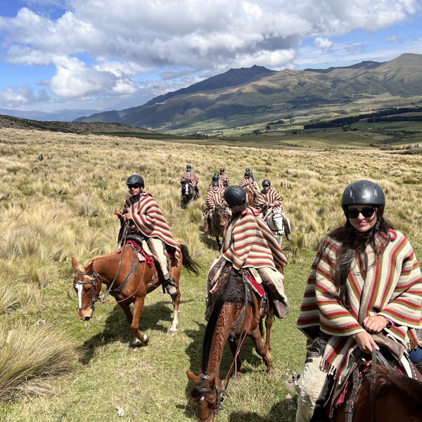 Cotopaxi National Park
