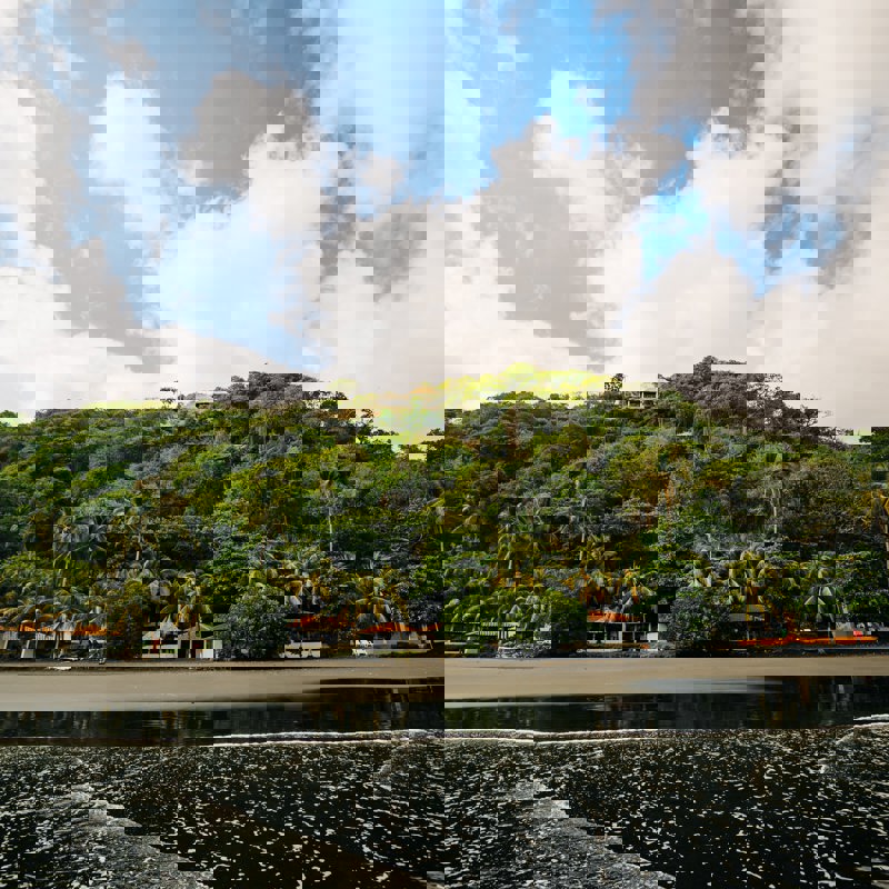 erick-chevez-_frsVGbx5-0-unsplash