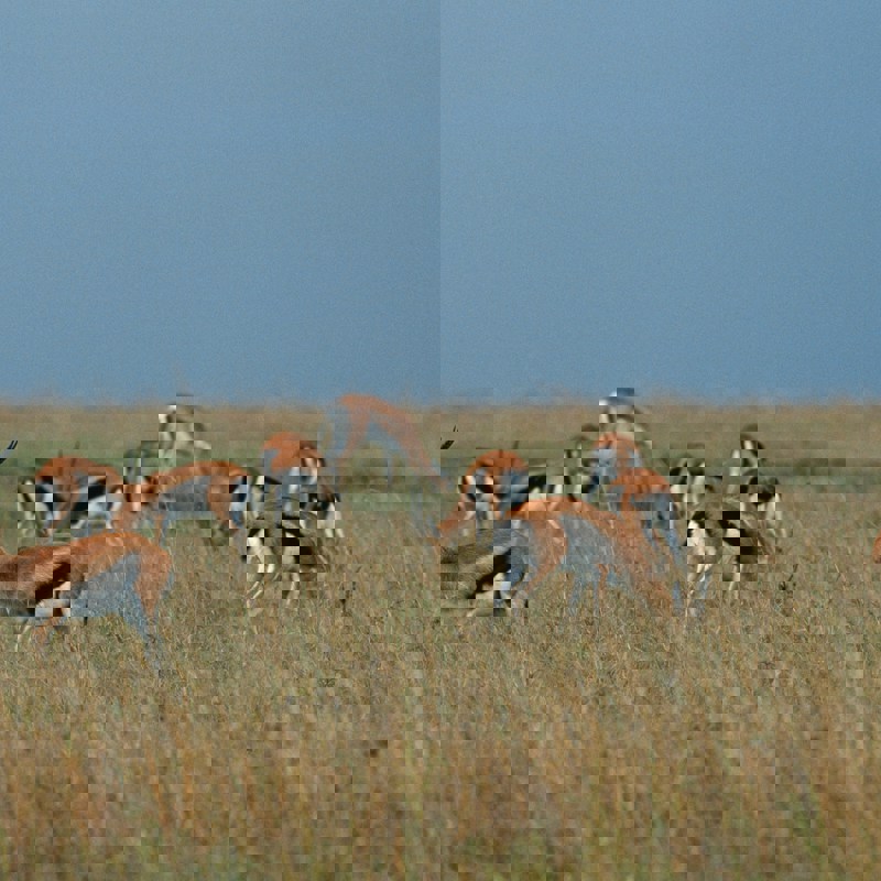 getty-images-AjStqhT441c-unsplash