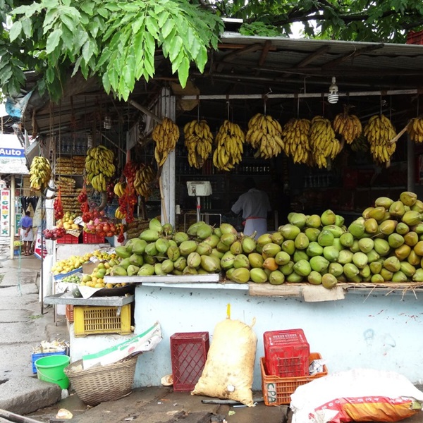 rejser til det sydlige indien