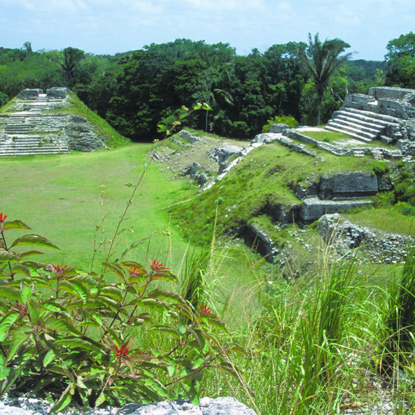 Inkatempler står stadig skarp efter mange år i Belizes jungle