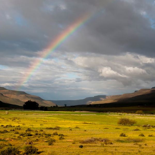 Sydafrika - Namaqualand