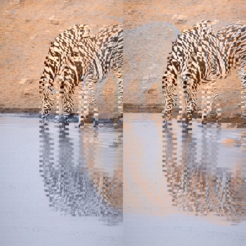 getty-images-two9hqAEHjY-unsplash