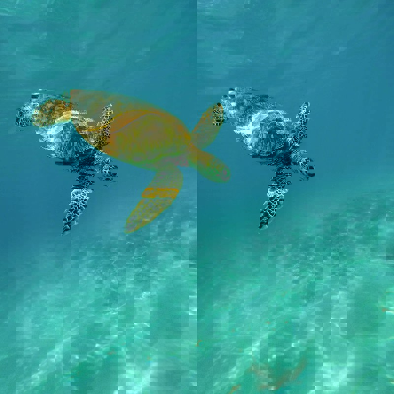 jeremy-bishop-GIpGxe2_cT4-unsplash