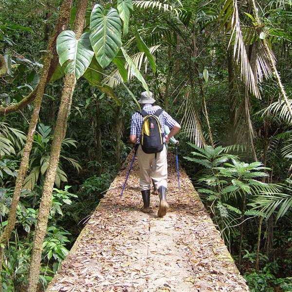 Tag på vandreture gennem Nicaraguas jungle