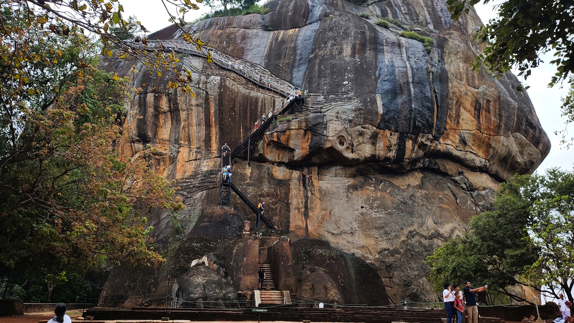 Løveklippe Sri Lanka 2025