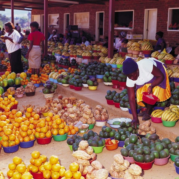 Sydafrika - Limpopo - Frugtmarked