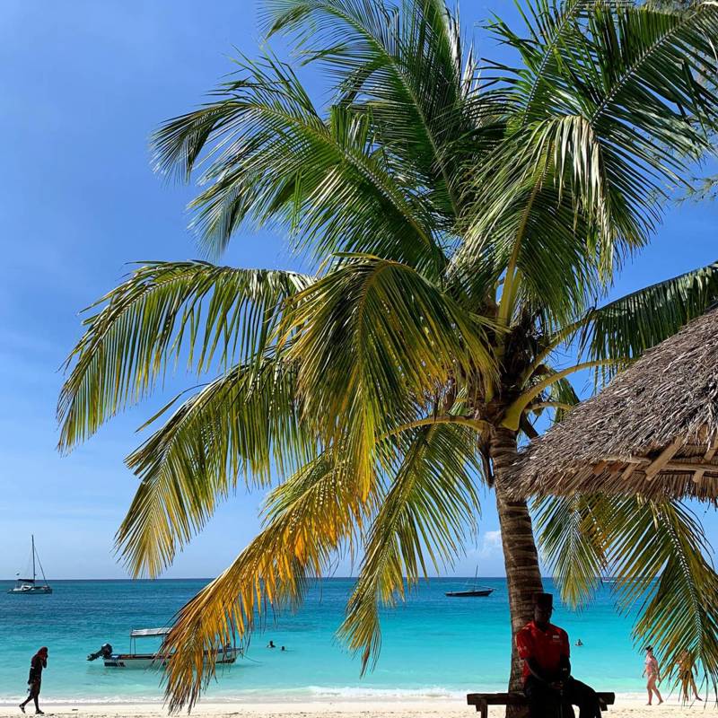 I:\AXUMIMAGES\Afrika\Zanzibar\Billeder af Zanzibar\Palmestrand på Zanzibar - mindre