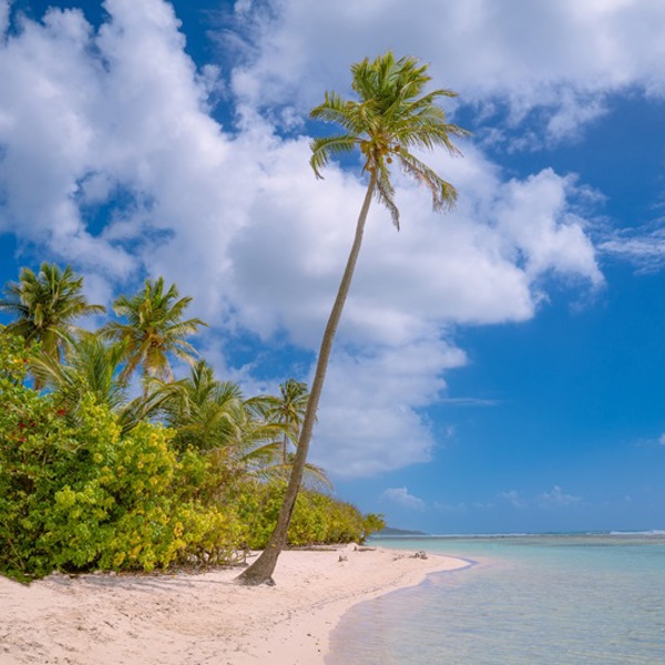 Stranden ved Saint Anne på Grande Terre