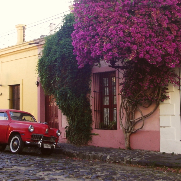 Rejser til Uruguay